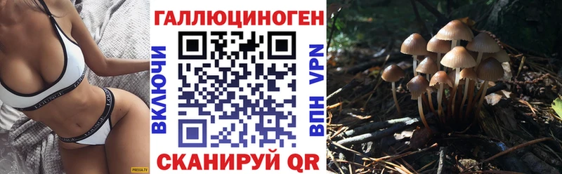Псилоцибиновые грибы прущие грибы  Любим 